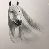 Mon projet du cours : Portraits expressifs d'animaux à l'aquarelle. Un proyecto de Ilustración tradicional, Pintura a la acuarela, Dibujo realista e Ilustración naturalista				 de Laure - 11.12.2022
