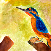 Mi proyecto del curso: Técnicas experimentales de acuarela para principiantes. Watercolor Painting, and Naturalistic Illustration project by Andrés González P. - 12.12.2022