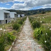 Sendero de flores. Un projet de Pa , et sagisme de Alejandra Woodcock - 05.01.2020