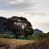 Meu projeto do curso: Fotografia de paisagem e natureza. Photograph, Outdoor Photograph, Instagram Photograph, Documentar, Photograph, Photographic Composition, and Fine-Art Photograph project by Tiago Cesar - 12.08.2022