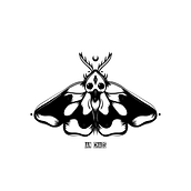 Moths = Life  Ein Projekt aus dem Bereich Traditionelle Illustration von Ian Farah - 13.12.2022