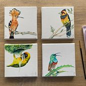 My project for course: Artistic Watercolor Techniques for Illustrating Birds. Un projet de Illustration traditionnelle, Aquarelle, Dessin réaliste et Illustration naturaliste de Estée Jacobs - 13.12.2022