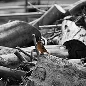 ¿Dónde está mi casa?. Un proyecto de Fotografía de Belen Buendia - 13.12.2022