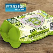 Blockchain ECOlógicos Rujamar. Marketing project by Celia de Soto - 12.14.2022