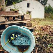 Día de otoño en el bosque. Un progetto di Fotografia di joseveraseo - 14.12.2022