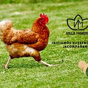 Mi proyecto del curso: Copywriting: principios de la redacción publicitaria  Ein Projekt aus dem Bereich Werbung, Marketing, Cop, writing, Kreativität und Content Writing von Ricardo José Ferrer Chavez - 12.12.2022
