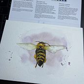 My project for course: Illustrating the Natural World with Watercolor and Charcoal. Traditional illustration, Painting, and Naturalistic Illustration project by Ivan Fuenmayor - 12.07.2022