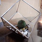 Terrón de mi tierra . Interior Design, L, scape Architecture, Decoration, DIY, Floral, and Plant Design project by Joshue Fernandez Oseguera - 12.13.2022