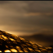 INSUSTENTÁVEL LIGEIREZA. Photograph, Portfolio Development, Digital Photograph, Fine-Art Photograph, and Photographic Composition project by Miguel Gago - 10.17.2019