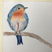 My project for course: Artistic Watercolor Techniques for Illustrating Birds. Traditional illustration, Watercolor Painting, Realistic Drawing, and Naturalistic Illustration project by Rose Doucet - 12.16.2022
