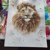 Mein Abschlussprojekt für den Kurs: Ausdrucksstarke Tierporträts in Aquarell Portrait of a lion. Projekt z dziedziny Trad, c, jna ilustracja, Malowanie akwarelą, R, sunek realist, czn, Ilustracja naturalist i czna użytkownika Isabell Böhme - 19.12.2022