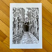 My project for course: Dip Pen and Ink Illustration: Capturing The Natural World. Sketching, Drawing, Artistic Drawing, Sketchbook, Ink Illustration, and Naturalistic Illustration project by Hanna Shvaikova - 12.20.2022