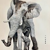 African Elephant Field Journal. Painting project by Joe Shook - 12.20.2022