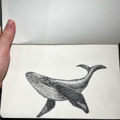 Sea life . Traditional illustration project by daria_v_garlock - 12.18.2022