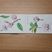 My project for course: Botanical Watercolor Sketchbook. Traditional illustration, Watercolor Painting, Botanical Illustration, and Sketchbook project by marrtinezgml - 12.18.2022
