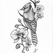 Ilustrações. Traditional illustration, Digital Drawing, Digital Painting, and Drawing project by Dark Paes de Barros - 12.21.2022