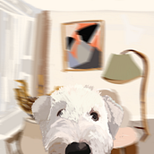 Mi proyecto del curso: Creación de caricaturas con Infinite Painter. Un projet de Illustration traditionnelle et Illustration numérique de frank baslo - 14.12.2022
