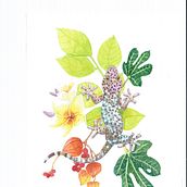 Mein Abschlussprojekt für den Kurs: Botanische Aquarellmalerei von Naturmotiven. Fine Arts, Painting, Watercolor Painting, Botanical Illustration, and Naturalistic Illustration project by lorilu - 12.22.2022