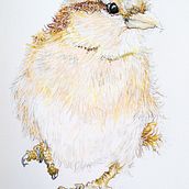 Spuggie. Een project van Traditionele illustratie van sarahwilson - 22.12.2022