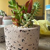 Mi proyecto del curso: Creación de muebles en concreto para principiantes. Een project van Craft, Meubelontwerp en -bouw, Interieurontwerp,  Interieur y DIY van Carlos Macedo - 22.12.2022