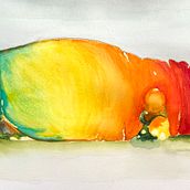Watercolor Magnolia. Painting project by Buffy Weiss - 12.23.2022