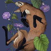 Aguará entre ipomeas. Traditional illustration, Drawing, Digital Illustration, Realistic Drawing, Digital Painting, and Naturalistic Illustration project by Cande Herrera Simó - 12.23.2022