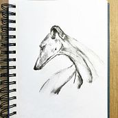 Mi proyecto del curso: Ilustración de animales con carboncillo y tinta. Desenho, Ilustração com tinta e Ilustração naturalista projeto de Laura Poletti - 24.12.2022