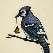 My project for course: Naturalist Illustration with Ballpoint Pen . Traditional illustration, Drawing, Realistic Drawing, and Naturalistic Illustration project by alexcalzoni - 12.24.2022