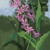 Mi proyecto del curso: Escenas atmosféricas en Procreate: pinta con colores y luces  . % Caro Bognar tarafından hazırlanan Geleneksel illüstras, on, Dijital İllüstras, Ve on projesi - 12.25.2022