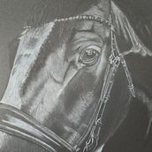 Huck - white charcoal on black paper . Schițe, Desen, Desen realist & Ilustrație naturalistă de Mary Owensby - 12.26.2022