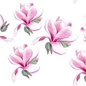 Magnolia. Traditional illustration project by magdabujak - 12.27.2022