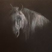 Seraph. Fine Arts, Drawing, Portrait Drawing, and Pencil Drawing project by Fran Larcombe - 12.27.2022