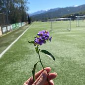 Mi proyecto del curso: Branding personal: desarrolla tu carrera freelance . % Valentina Godoy Arenas tarafından hazırlanan Pazarlama, Sos, al Med, a, Dijital Pazarlama, İletişim & Instagram Pazarlaması projesi - 12.26.2022