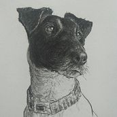My project for course: Animal Illustration with Charcoal and Ink. Un progetto di Disegno, Illustrazione con inchiostro e Illustrazione naturalistica di anne_babington - 28.12.2022