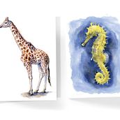 Thortful greetings cards. Traditional illustration project by Tim Pond - 12.22.2021