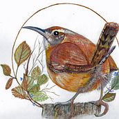 My project for course: Watercolor with Filigree and Metallic Details. Traditional illustration, Painting, Watercolor Painting, Botanical Illustration, Naturalistic Illustration, and Decorative Painting project by Mariyn Weimer - 12.28.2022