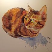 My project for course: Expressive Animal Portraits in Watercolor. Traditional illustration, Watercolor Painting, Realistic Drawing, and Naturalistic Illustration project by Anouk Jacobs - 12.28.2022