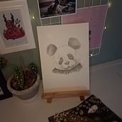 Meu projeto do curso: Desenho naturalista de animais com lápis grafite. Un proyecto de Ilustración tradicional, Dibujo a lápiz, Dibujo e Ilustración naturalista				 de Gabriela Carretto - 29.12.2022