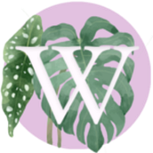Creación de Wikiplantas. Content Writing project by Marcos Crespán - 11.05.2021