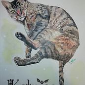 Acariciando mascotas con acuarela..... Traditional illustration, Portfolio Development, Management, and Productivit project by Rafael Andres Forero Bernal - 12.30.2022