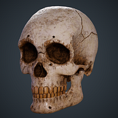 Skull. Modelagem 3D, e 3D projeto de Rafael Prados - 26.12.2022