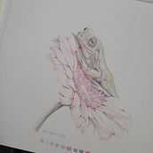 My project for course: Surrealist Illustration Inspired by Nature. Un proyecto de Ilustración tradicional, Dibujo a lápiz, Dibujo, Dibujo artístico, Ilustración naturalista				 y Dibujo con lápices de colores de sweetart660 - 30.12.2022