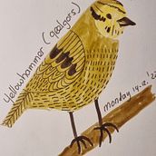 My project for course: Illustrated Life Journal: A Daily Mindful Practice. Fine Arts, Sketching, Creativit, Drawing, and Sketchbook project by Gusta Rinzema - 12.31.2022