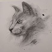 My project for course: Animal Illustration with Charcoal and Ink. Drawing, Naturalistic Illustration & Ink Illustration project by mshore - 01.01.2023