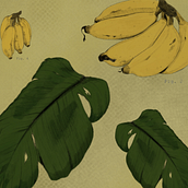 My project for course: Botanical Illustration: From Notebook to Print. Traditional illustration, Sketching, Drawing, Botanical Illustration, Sketchbook & Ink Illustration project by sandpiperillustrations - 01.02.2023