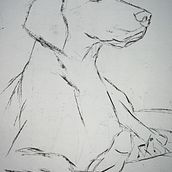 My project for course: Animal Illustration with Charcoal and Ink. Desenho, Ilustração com tinta, Ilustração naturalista, e Artes plásticas projeto de Judith Sutherland - 03.01.2023