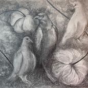 Bird situation, graphite. Traditional illustration, Pencil Drawing, Drawing, Artistic Drawing, Naturalistic Illustration, and Colored Pencil Drawing project by carolinebertrand - 01.03.2022