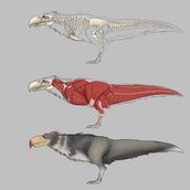 Argentosaurus- Creature Design. Concept Art project by Dilara - 01.03.2023