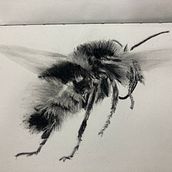 Mi proyecto del curso: Ilustración naturalista con acuarela y carboncillo. Traditional illustration, Painting, and Naturalistic Illustration project by Mónica Pereira - 01.04.2023