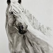 Mi proyecto del curso: Retratos expresivos de animales en acuarela. Traditional illustration, Watercolor Painting, Realistic Drawing, and Naturalistic Illustration project by Mónica Pereira - 01.04.2023